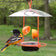 Wire Oriole Feeder with orange halves and grape jelly, featuring a clear plastic weather guard and ample perching space for multiple birds.