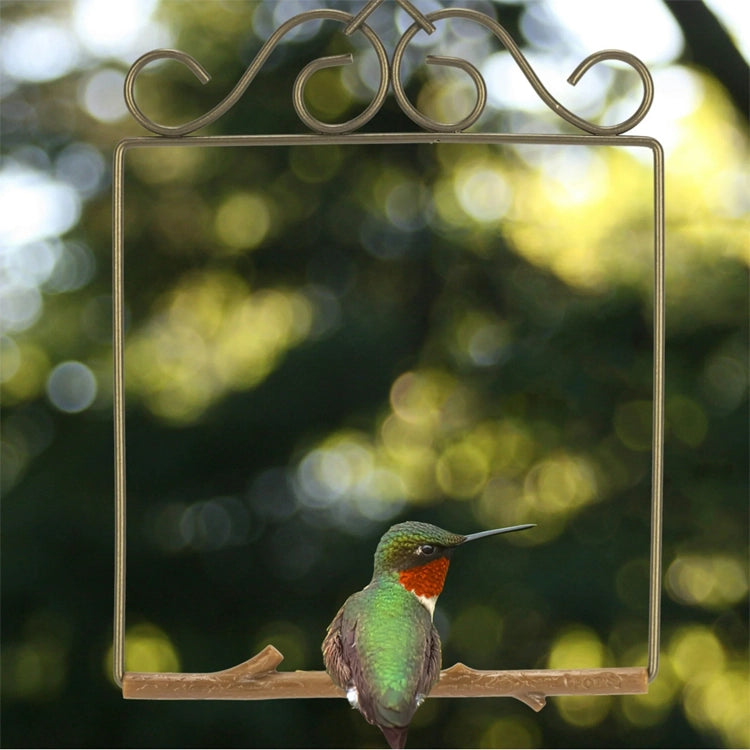 Decorative mirror with a hummingbird design on a blurred green background