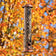 Goldfinch perched on a copper mixed seed tube bird feeder filled with seed against golden autumn foliage.