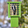 Downy Woodpecker feeding on a suet cake in a green hanging suet feeder with metal mesh and extended tail prop against a softly blurred backyard background.