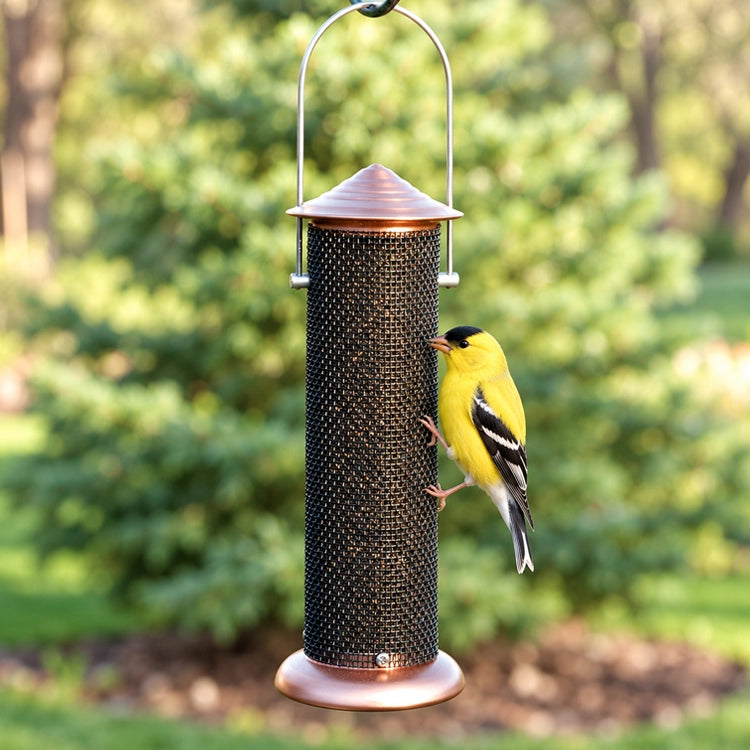 Male goldfinch clinging to a mini copper Nyjer mesh feeder against softly blurred green backyard foliage.