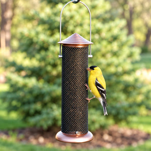 Male goldfinch clinging to a mini copper Nyjer mesh feeder against softly blurred green backyard foliage.