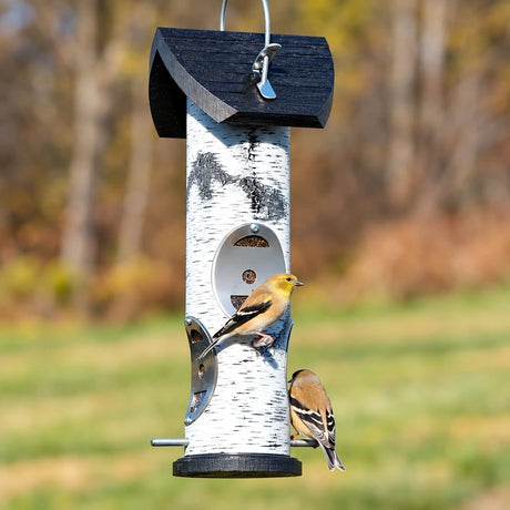 Two American Goldfinches perched on a birch log tube bird feeder with black roof in a backyard setting.