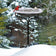 20 Heated Bird Bath with Metal Stand featuring a red cardinal and chickadee. Snowy basin with visible electric cord for winter use.