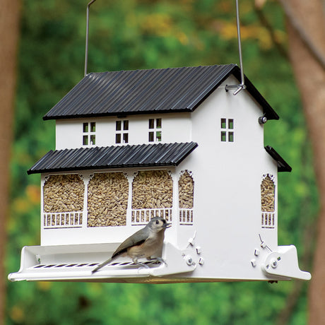 Squirrel Resistant Feeders