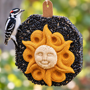 Sun Face Seed Wreath with sunflower and millet seeds, featuring a Downy Woodpecker pecking, designed to attract birds, includes a natural jute hanger.