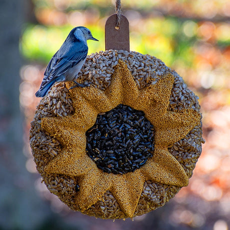 Sunflower Seed Wreath with a nuthatch perched, featuring black oil sunflower seeds center, yellow millet petals, and sunflower kernel edge, hanging by twine.