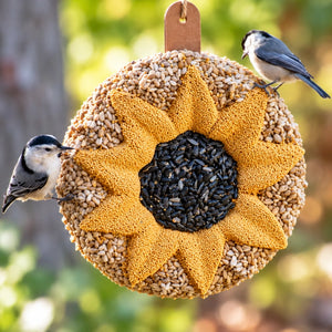 Sunflower Seed Wreath with a nuthatch perched, featuring black oil sunflower seeds center, yellow millet petals, and sunflower kernel edge, hanging by twine.