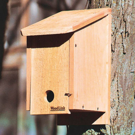 Cedar Winter Roosting Box mounted on a tree, featuring a 1-9/16 inch entry hole and a removable wooden ladder for birds to gather warmth.