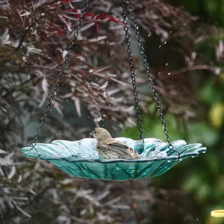 Turquoise handblown recycled glass hanging bird bath with dahlia-inspired floral design suspended from decorative metal chain.