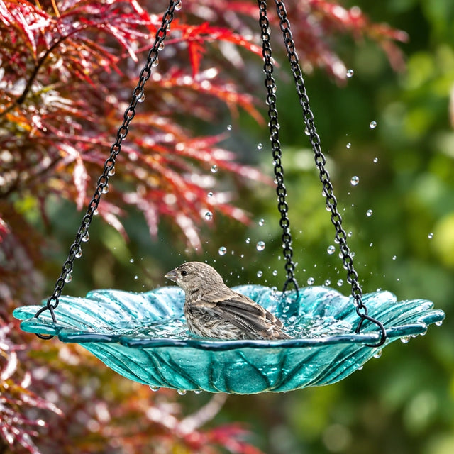 Turquoise handblown recycled glass hanging bird bath with dahlia-inspired floral design suspended from decorative metal chain.