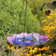EcoCycle Violet Begonia Hanging Bird Bath suspended from black chains in a flower garden, featuring a purple recycled glass basin with sculpted floral details.