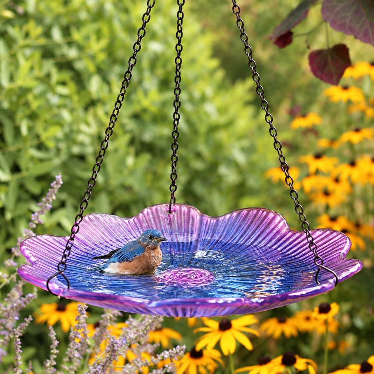 Purple recycled glass hanging bird bath with a small songbird in the bath surrounded by lush green foliage.