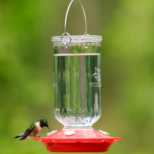 EcoCycle Ruby Roost Recycled Glass Hummingbird Feeder