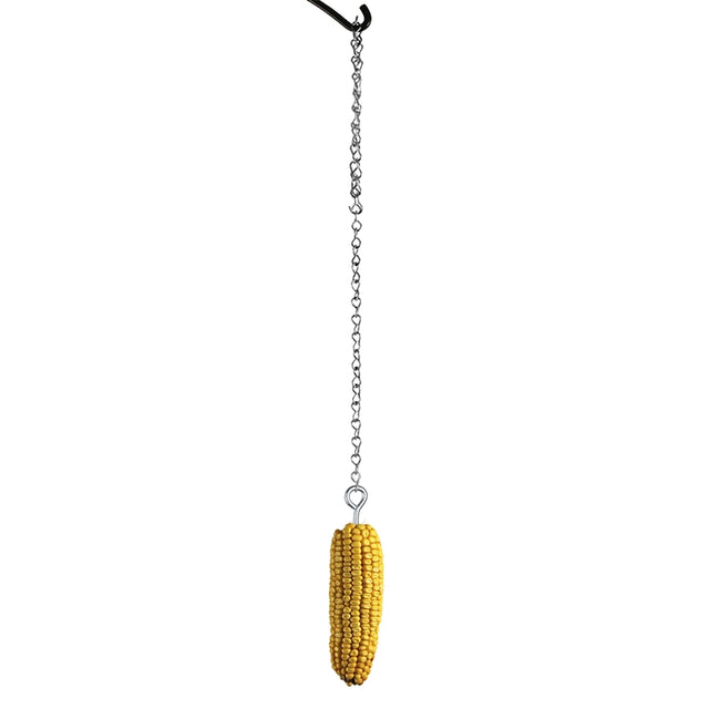 Whole ear of corn suspended from a hanging chain, providing a natural feeding station for squirrels and larger backyard birds.