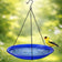 Blue bird bath with a yellow and black bird on a blurred green background