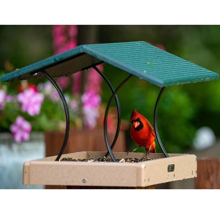 Birds Choice Medium Fly-Thru Green Roof feeder with a Cardinal on tray, featuring a peaked roof, taupe base, and wrought iron supports, filled with seeds.
