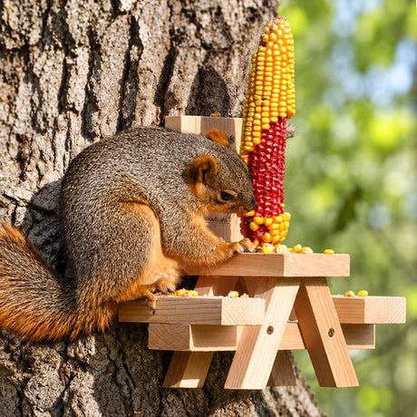 Squirrel eating corn on a cedar picnic table feeder mounted to a tree.