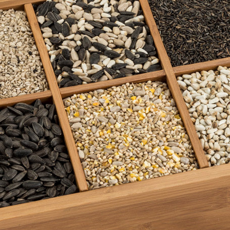 Box of six different bird seeds in a grid