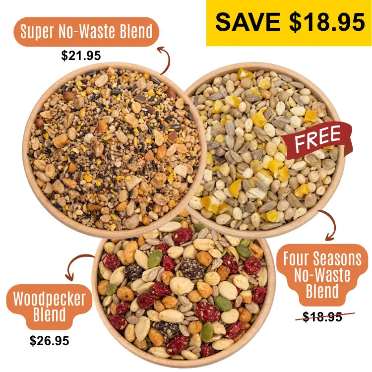3 Bowls of birdseed from a birds eye view, specifically: Super No-Waste Blend, Woodpecker Blend, and Four Seasons No-Waste.