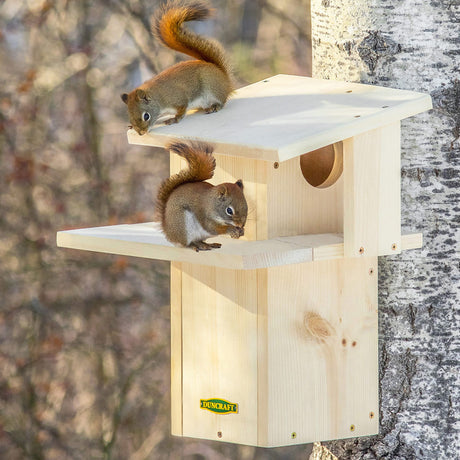 Squirrel Houses