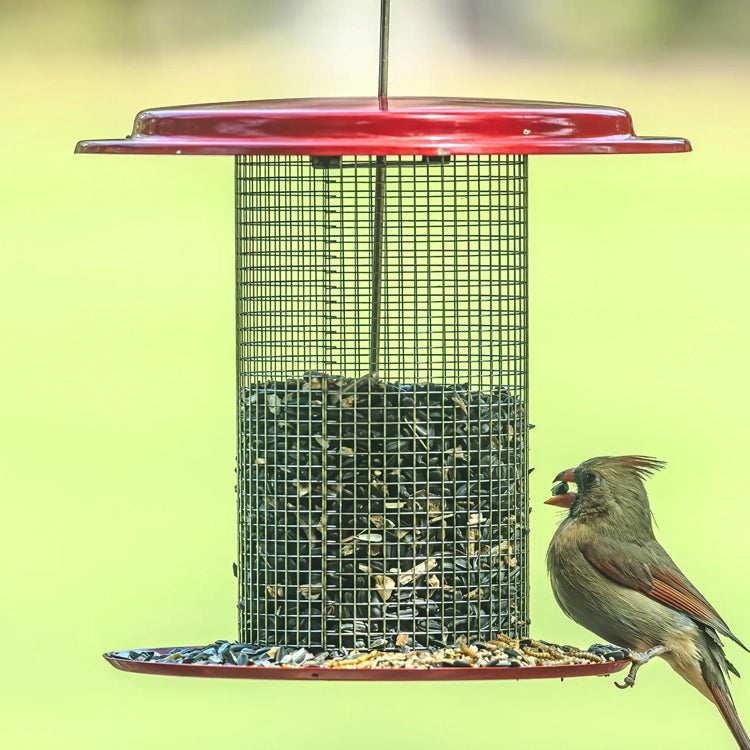 Sunflower Seed Bird Feeder, Green; a cylindrical wire-mesh design with a red top and tray, featuring a Northern Cardinal perched while feeding.