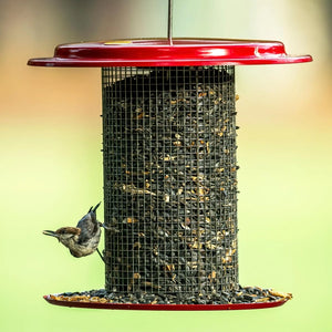 Sunflower Seed Bird Feeder, Green, with red accents, holds sunflower seeds. A small songbird feeds, highlighting its clinging design and vibrant outdoor appeal.