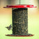 Sunflower Seed Bird Feeder, Green, with red accents, holds sunflower seeds. A small songbird feeds, highlighting its clinging design and vibrant outdoor appeal.