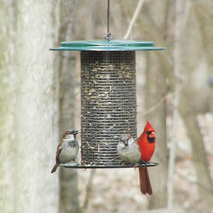 Sunflower Seed Bird Feeder, Green, with sparrows and a cardinal perched on its rim, features a durable mesh design ideal for clinging birds.