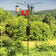 Squirrel-Proof Four Arm Bird Feeding Station with birds perched, featuring a squirrel baffle and durable black pole, standing in an outdoor setting.