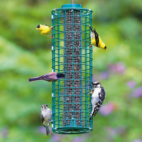 Tube Bird Feeders