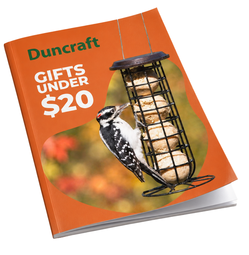 A Duncraft gift guider featuring an orange background, a photo of a black-and-white woodpecker eating seeds from a hanging bird feeder, and the text 'Duncraft GIFTS UNDER $20'.