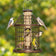 Woodlink Caged Feeder with small birds perched on it, featuring metal wire caging and a clear plastic seed tube.