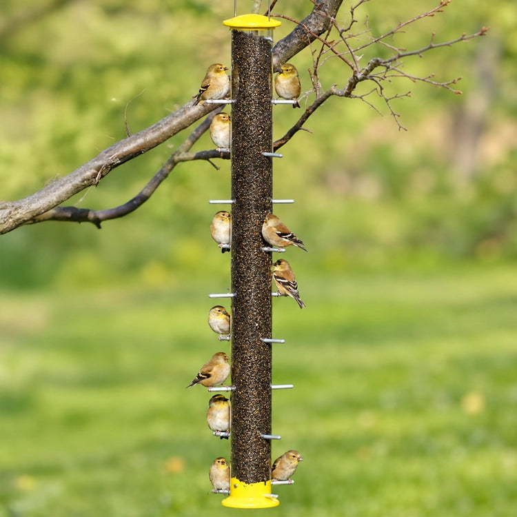 Yellow 35-inch Nyjer Tube Bird Feeder with 20 feeding ports, sturdy metal perches, clear polycarbonate seed tube, and die-cast metal top and base. Goldfinches perched on the feeder in a green backyard setting. 