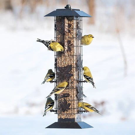 Squirrel Proof Squirrel-Be-Gone bird feeder with multiple birds eating, featuring a spring-loaded wire cage to block squirrels from accessing the feeding ports.