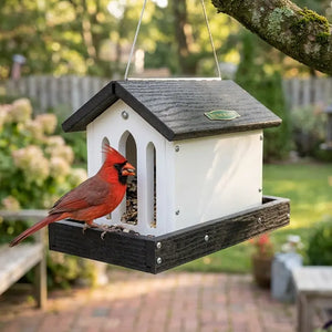 Red cardinal bird perched on a white bird feeder with a black roof in a garden setting.