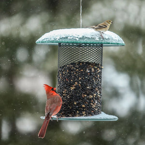 Magnet Mesh 5 Quart Sunflower Feeder with red male cardinal and yellow-olive songbird; snow-dusted, showcasing its patented mesh for easy bird access.