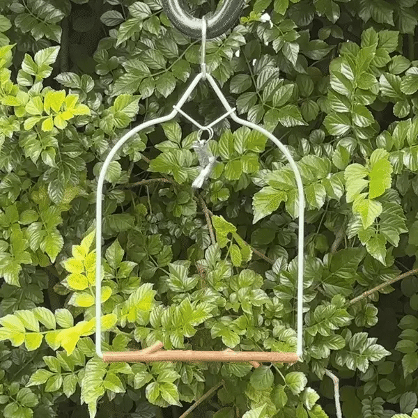 Pop's Birding Charm Swing