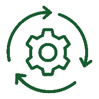Refine & Launch