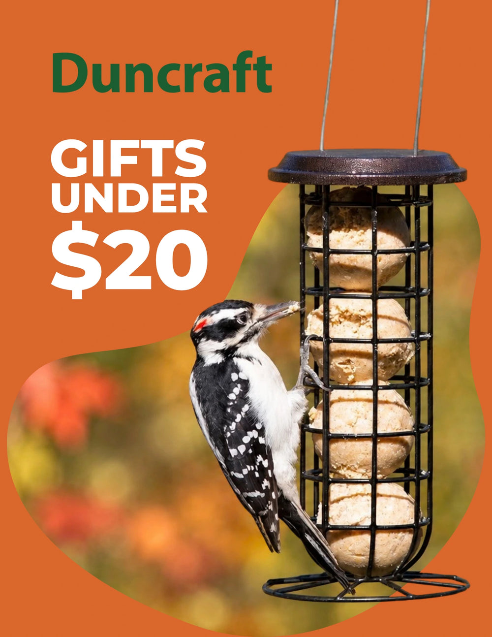 Duncraft Gift Guide cover for gifts under $20.