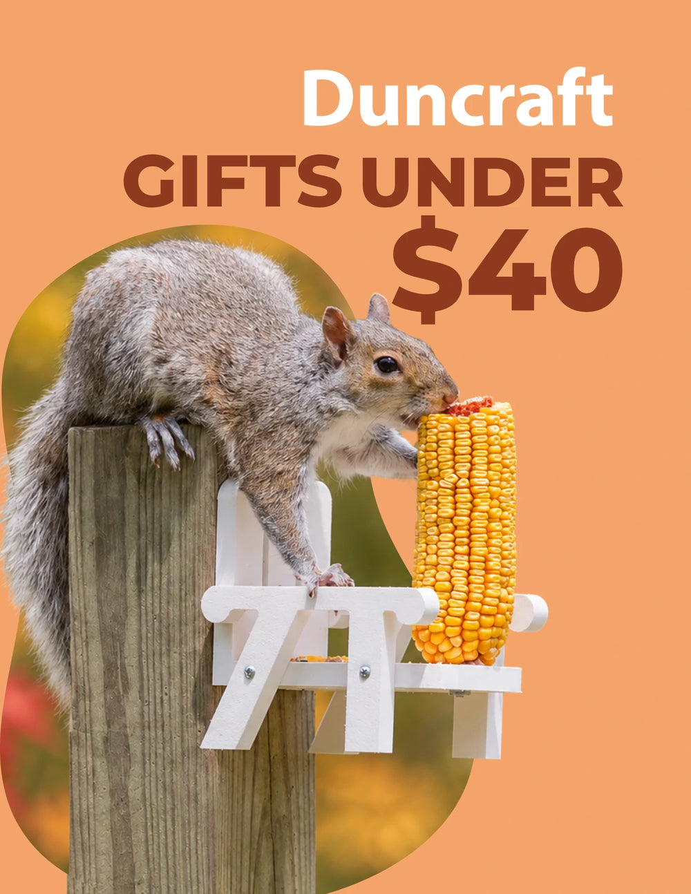Duncraft Gift Guide cover for gifts under $40.