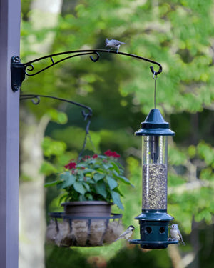 Brome BirdsUP 25 Hanging Bracket supports a tube feeder and planter, holding vibrant songbirds, showcasing its durable, rust-resistant design ideal for birdwatchers and garden enthusiasts.