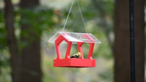 Duncraft Heritage Platform Bird Feeder, Red