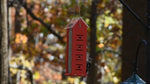 Duncraft Four Sided Woodpecker Bird Feeder