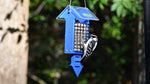 Duncraft Royal Blue Arrow Tail Prop Suet Bird Feeder