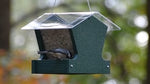 Duncraft Heritage Hopper Bird Feeder, Green