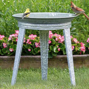 All Bird Baths