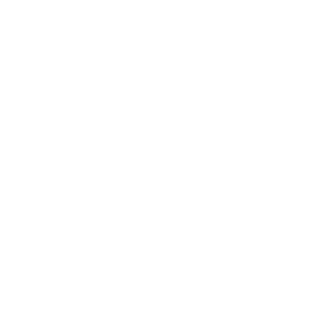 Suet Feeders